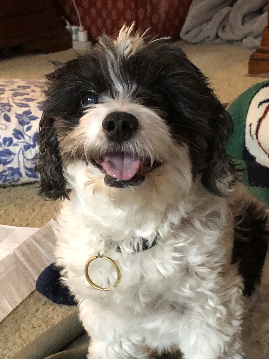 BetterDip's tweet photo. Smile because it’s Friday! https://t.co/O8eHSeC2Op