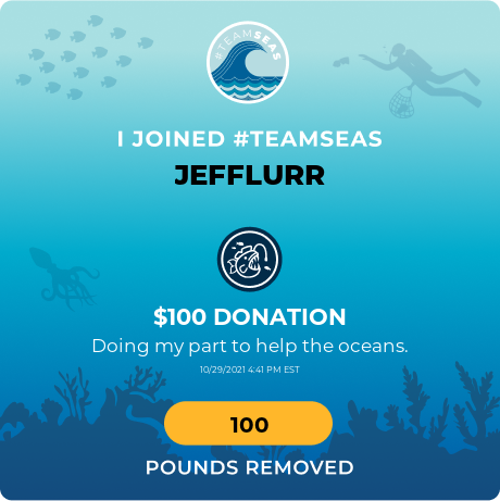 Jefflurr's tweet photo. @MrBeast https://t.co/89oQuMya1X