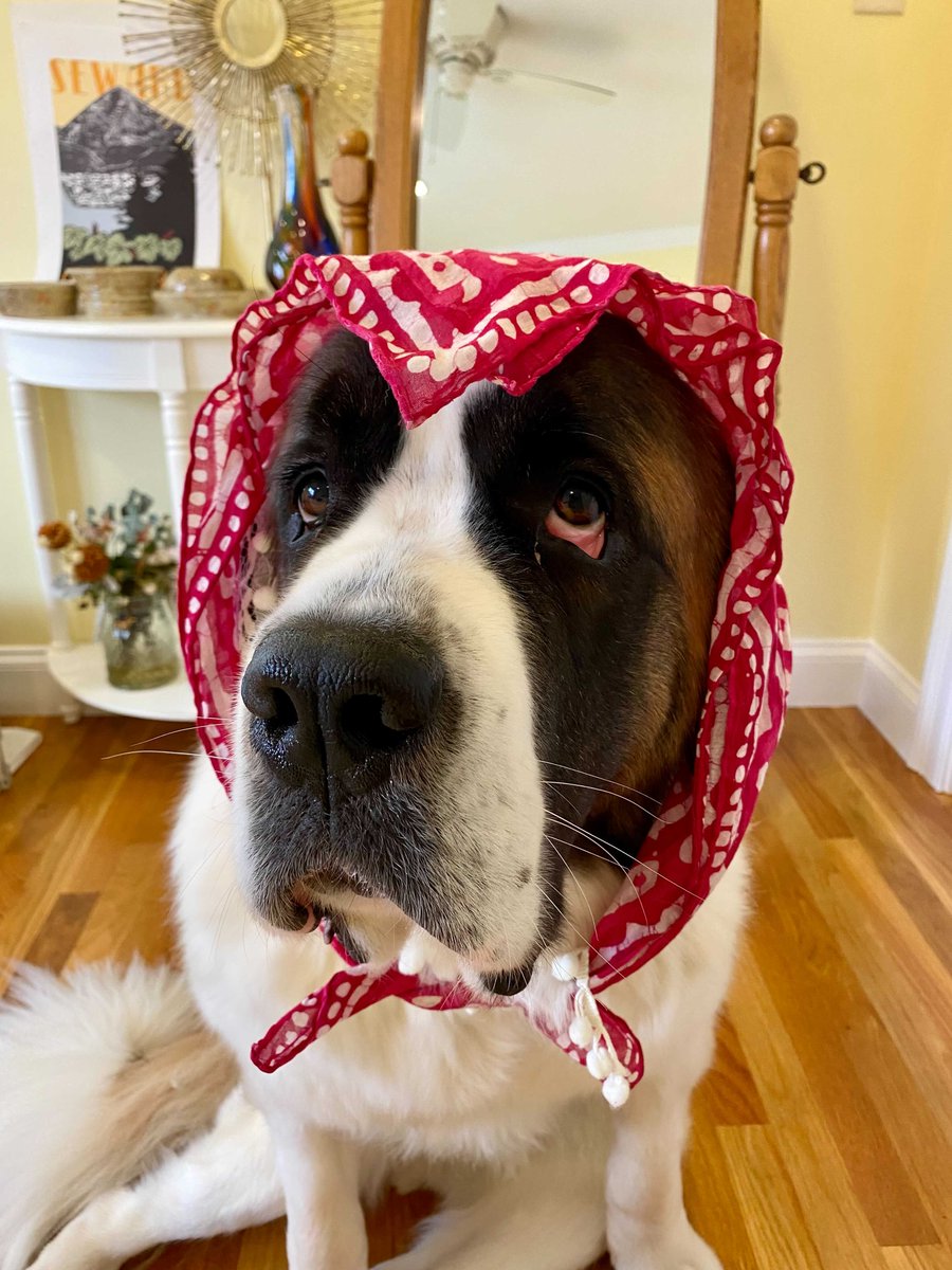 The pup decided to make a special appearance as little red riding hood on the annual Op4G Halloween #happyhour. Always a fun event to boost morale! What fun holiday traditions does your company do?🎃