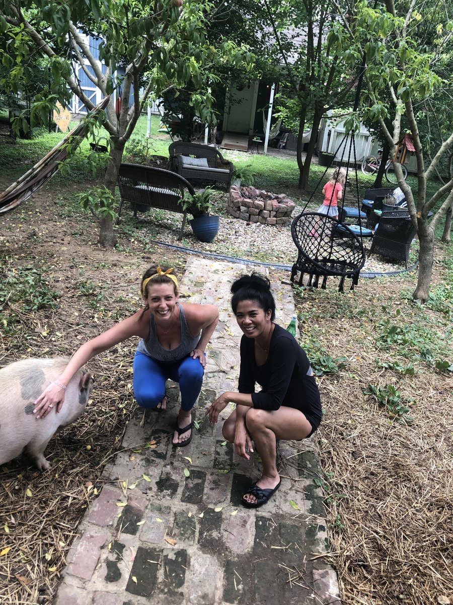 MainStreetVegan's tweet photo. Train as a certified #Vegan Lifestyle Coach &amp; Educator at Main Street Vegan Academy. Now on Zoom &amp; the magic continues. Here Rose Ricafort, RN, VLCE (right) of Chicago visits classmate Anne Redinger, VLCE, (and friend!) in Louisville. This course is a lifechanger. https://t.co/RlKf5ko993