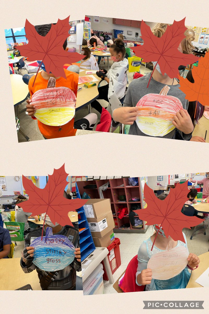 Mrs. Murshed tweet media