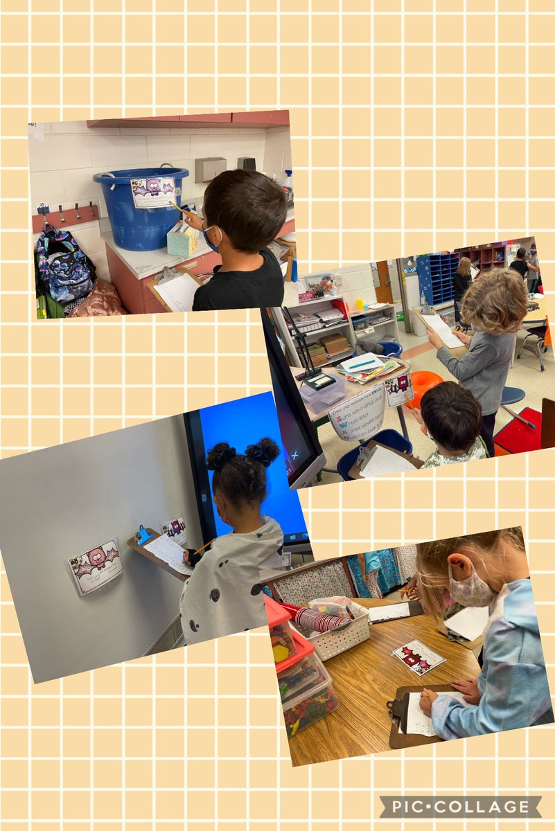 Mrs. Murshed tweet media