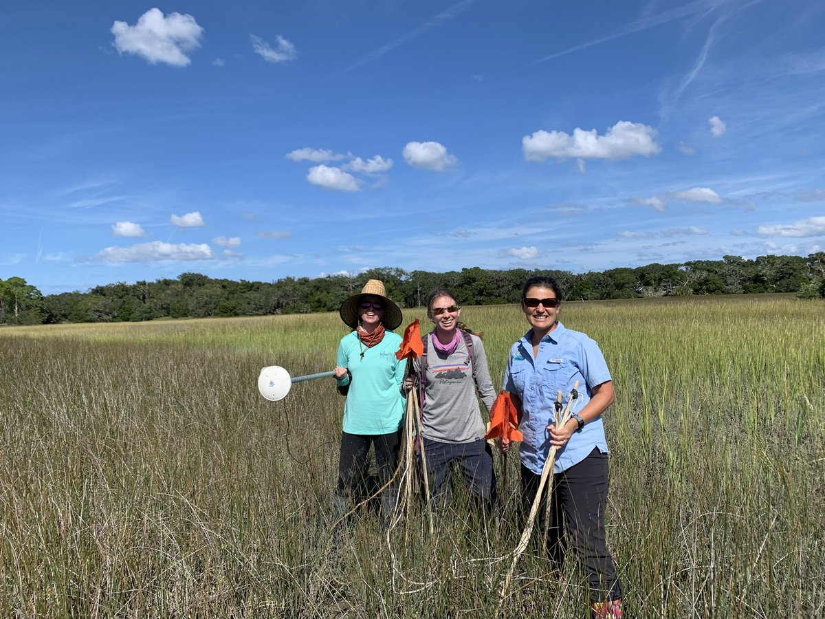 angeliniecology's tweet photo. Last week, PhD student Hallie Fischman surveyed mussel densities at the @GTMReserve with Research Director Nikki Dix and @ashleyrsmyth student Justina as part of a NERR Science Collaborative project looking at how shellfish can improve water quality https://t.co/SsDH6Er0pI