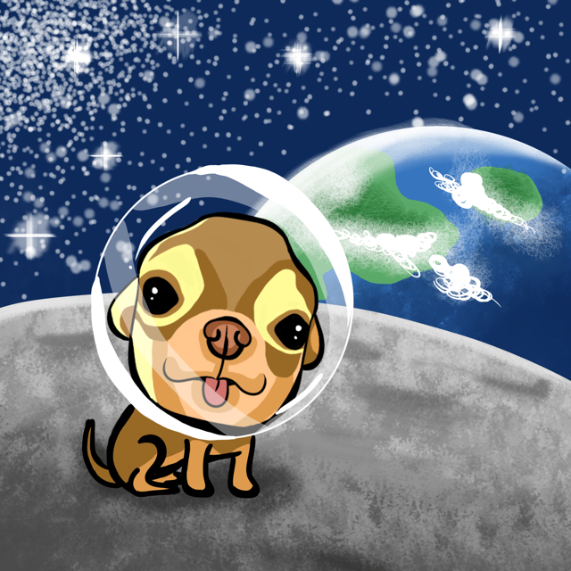 borksolana's tweet photo. the cutest boi 🚀
#solana #SolanaWinter #airdrop https://t.co/VUcugSyIoz