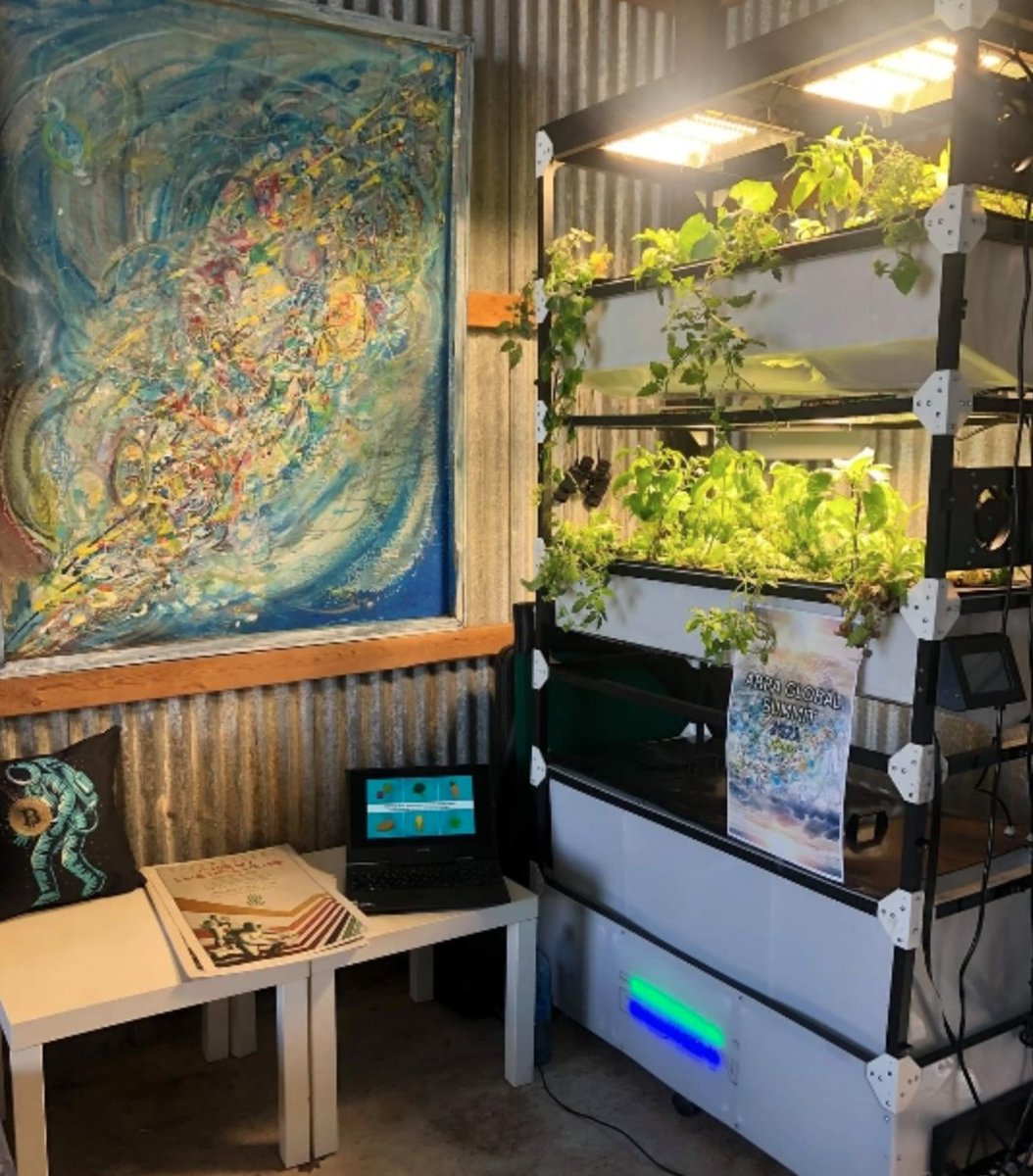 dMASS_ net tweet media