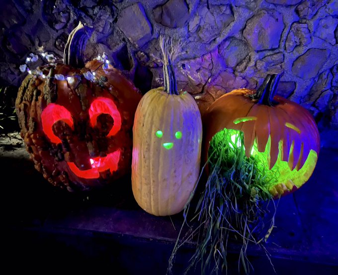 On Halloween we carve pumpkins 🎃 which is your fav? 😁 https://t.co/EVOVsPhJTm