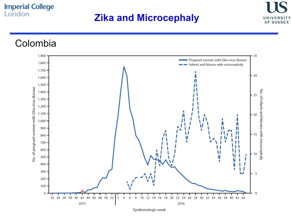 Graph illustrating link between Zika infection and microcephaly in Colombia (slide: Pierre Nouvellet)