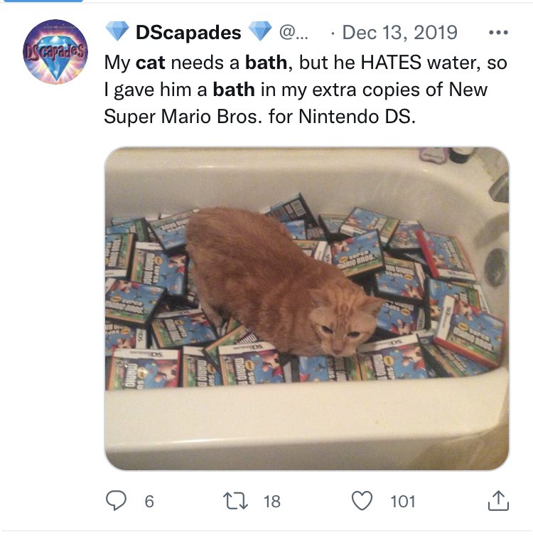 💎 DScapades💎 tweet media