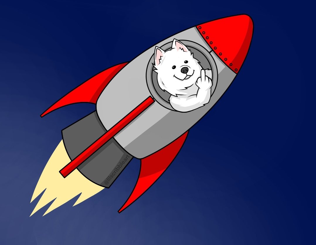 hayleytamaraa's tweet photo. @samoyedcoin ❤️❤️❤️ https://t.co/juvwnGnIob