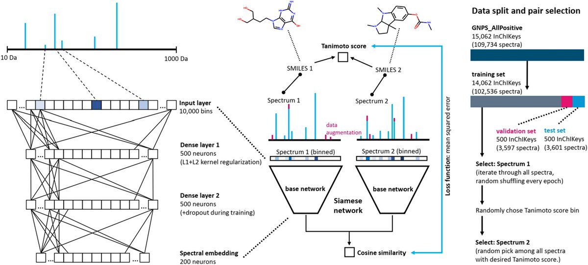 vdHooft_CompMet's tweet image. Our newest publication is out today! 😎 #MS2DeepScore is in @jcheminf! Work led by @me_datapoint. With huge thanks to reviewers, editor, and collaborators from @eScienceCenter. @WU_BioInfo @WURplant @WUR You can read it #openacces here: jcheminf.biomedcentral.com/articles/10.11… a little thread!