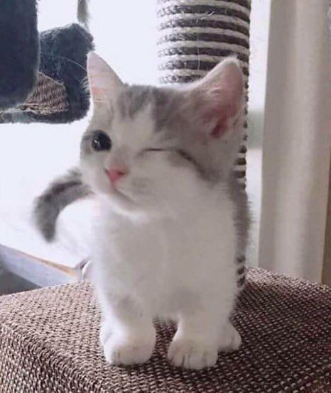 Ioveuspace's tweet photo. ♡ - eu te amo em varias línguas; a thread https://t.co/zZnEZmBZDj