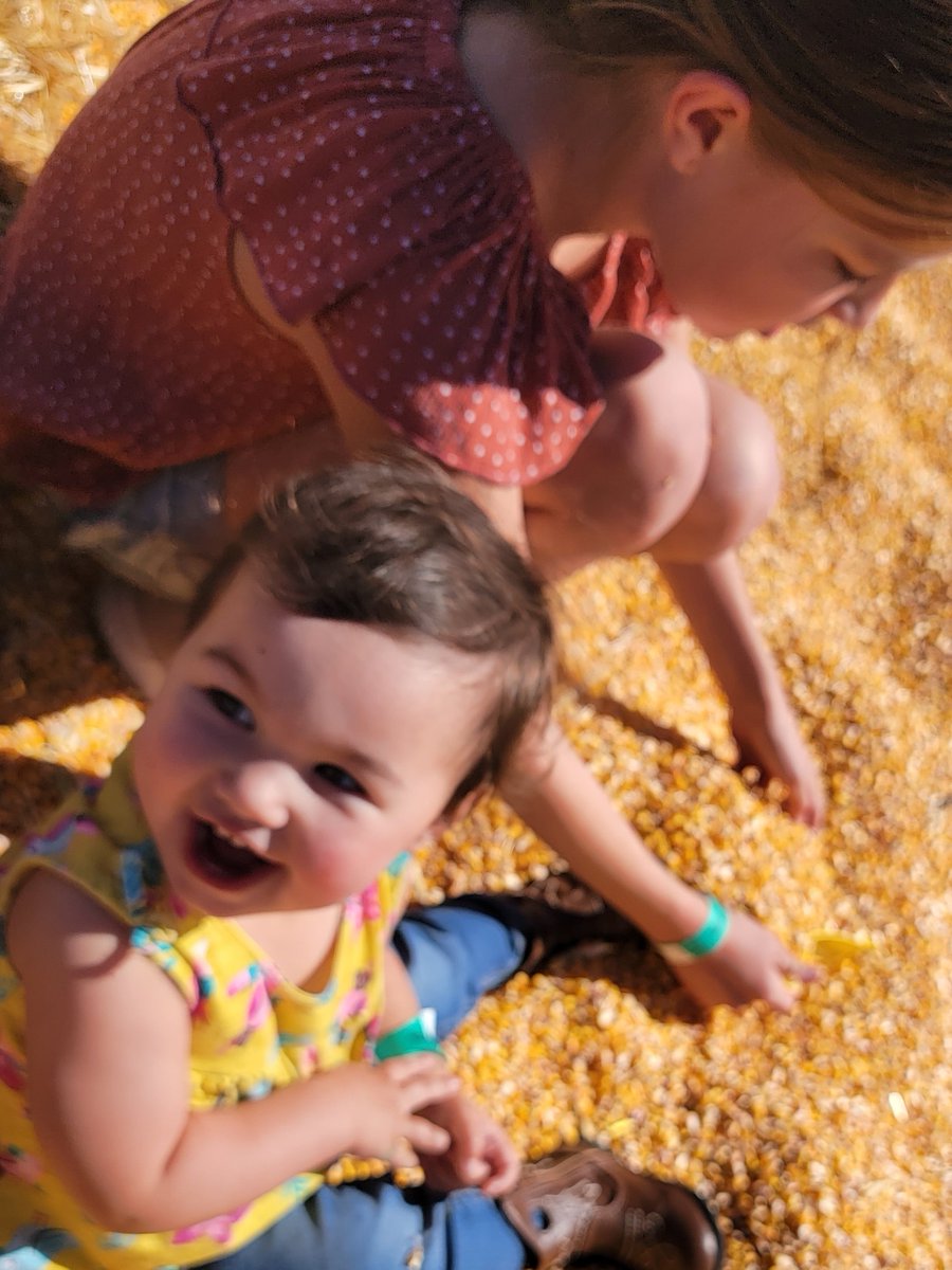 Experience46D's tweet photo. Looking for fun things to do this weekend?  We have a list for you!
https://t.co/jPt3TaJCLJ

#tricitieswa #tricities #thingstodointricities #thingstodo #washingtonstate #VisitTriCitiesWA #fall https://t.co/eoc7zD6l95