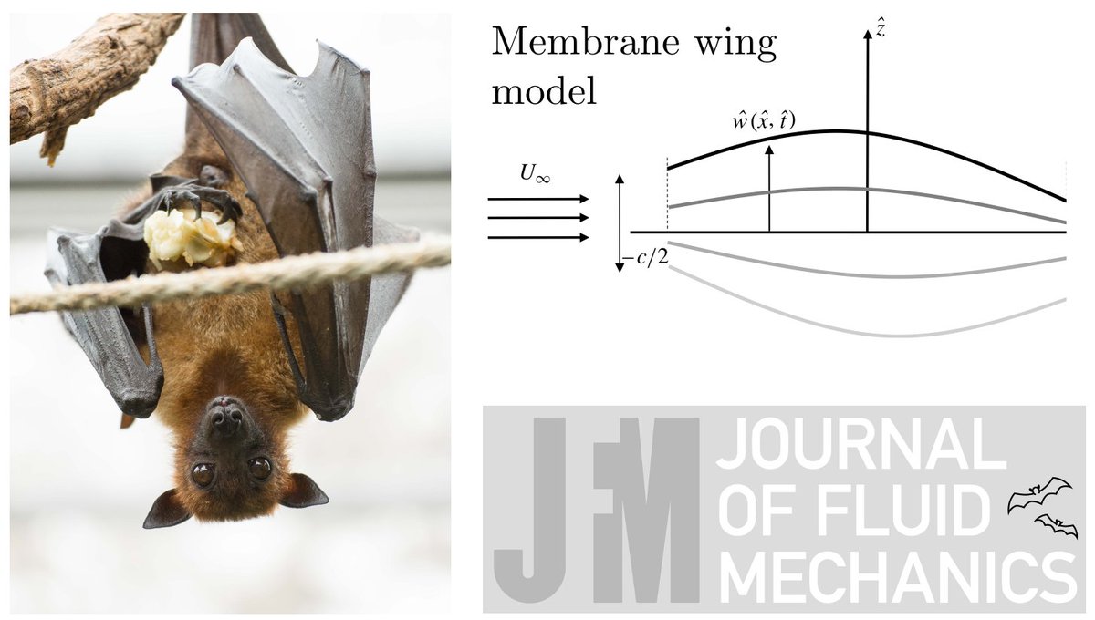 Journal of Fluid Mechanics tweet media