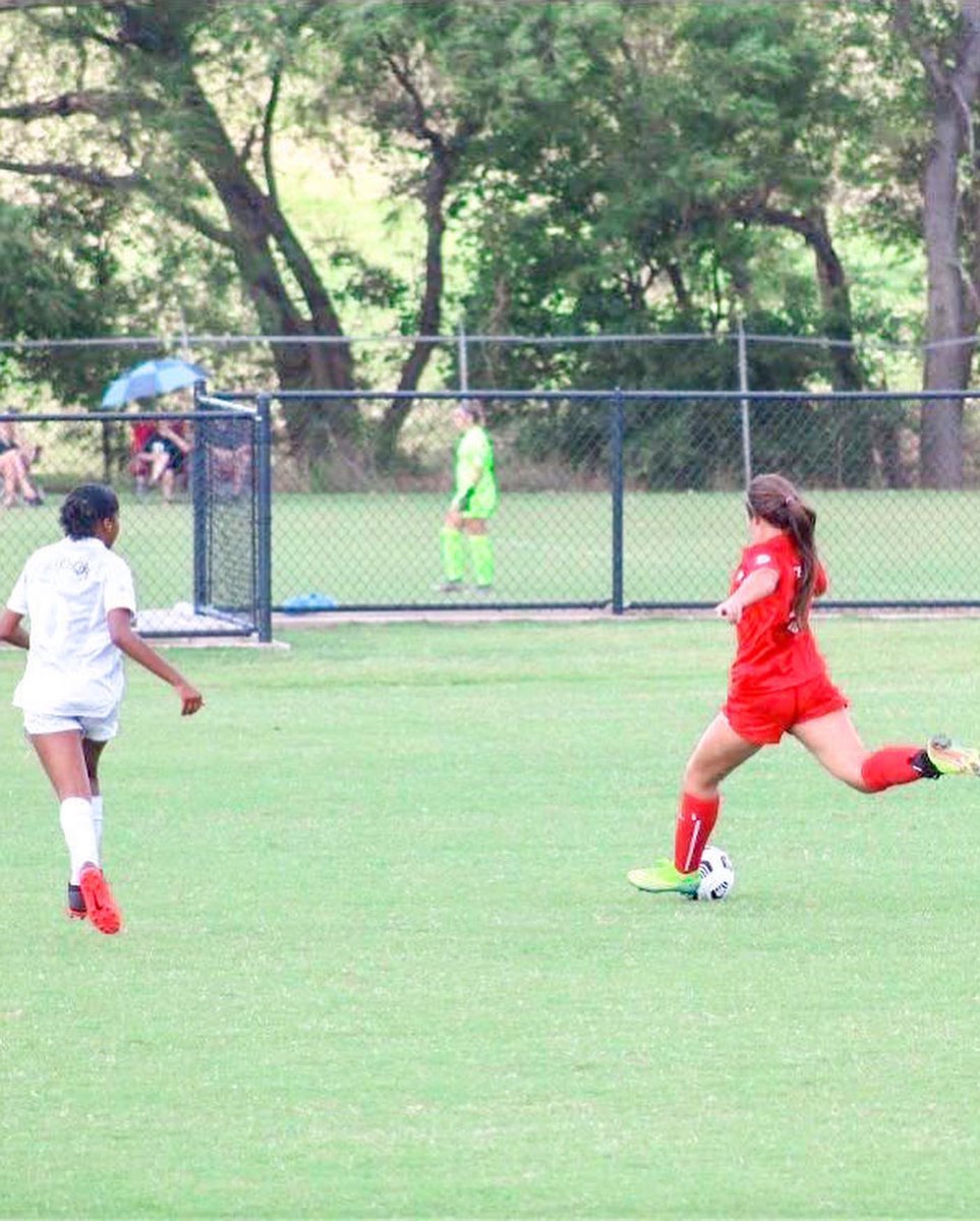 laney haley tweet media