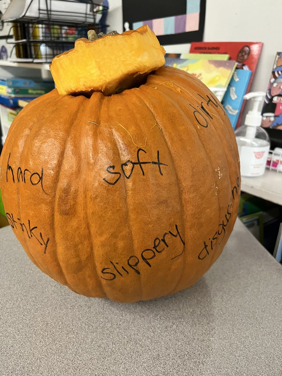 LReohr's tweet photo. We had a pumpkin day today!🎃We used adjectives to describe a pumpkin, learned about the life cycle of a pumpkin, counted pumpkin seeds by sorting them into groups of tens and ones, then finished the day creating jack ‘o lanterns and writing about them! @SCSchools #HoweElementary https://t.co/gAl3uqyPRG