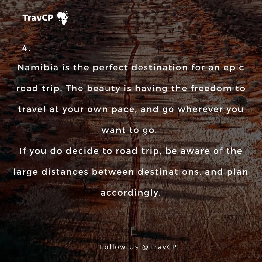 travcp's tweet photo. Swipe to see some interesting fun facts about Namibia! 😍

It’s time to create memories and start telling stories. Kindly use the link https://t.co/n3eC7rpLVf to book for a tour guide this year.
#TravCP #TravCulture #YourPlugToAfrica #africantravel #namibiatourism https://t.co/Xb0Tu9lziL
