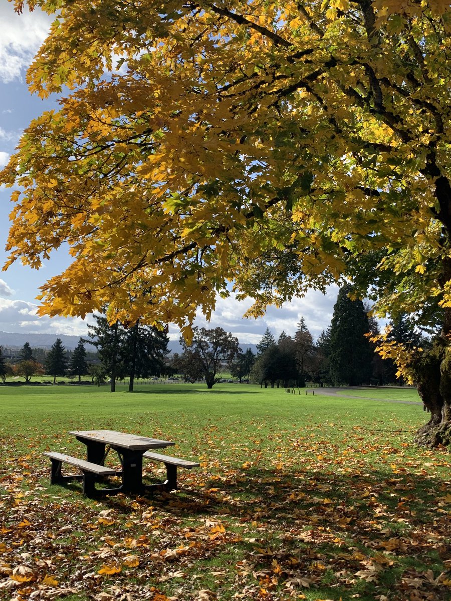 NancyPettit's tweet photo. Where I walk! #VanWA 🇺🇸 #PNW ⁦@MyFaveBench⁩ #fabulousfall https://t.co/NwO14UFGbr