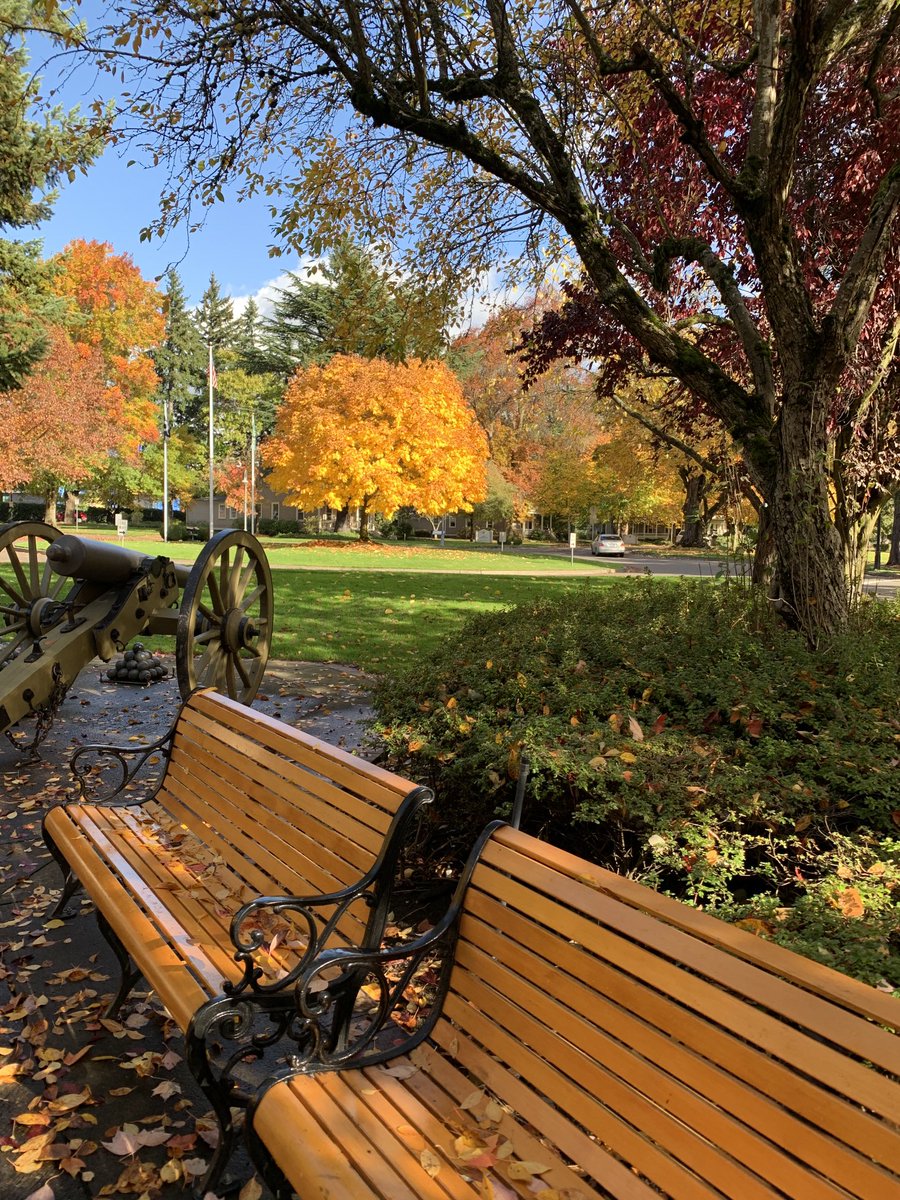 NancyPettit's tweet photo. Where I walk! #VanWA 🇺🇸 #PNW ⁦@MyFaveBench⁩ #fabulousfall https://t.co/NwO14UFGbr