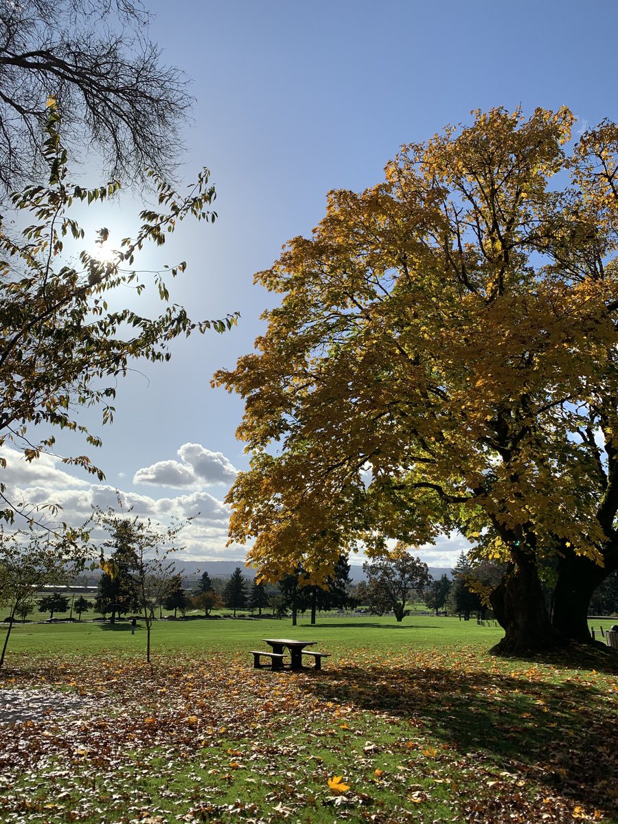 NancyPettit's tweet photo. Where I walk! #VanWA 🇺🇸 #PNW ⁦@MyFaveBench⁩ #fabulousfall https://t.co/NwO14UFGbr