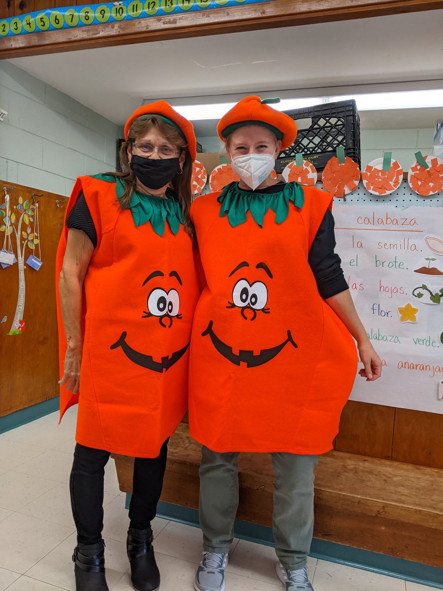 MrsTomer_Rm16's tweet photo. Some pumpkin fun in kindergarten today 🎃🍁🍂 Disfrutando el día con algunas calabazas @PhillipsAveElem #phwaves https://t.co/56MWxGzcjM