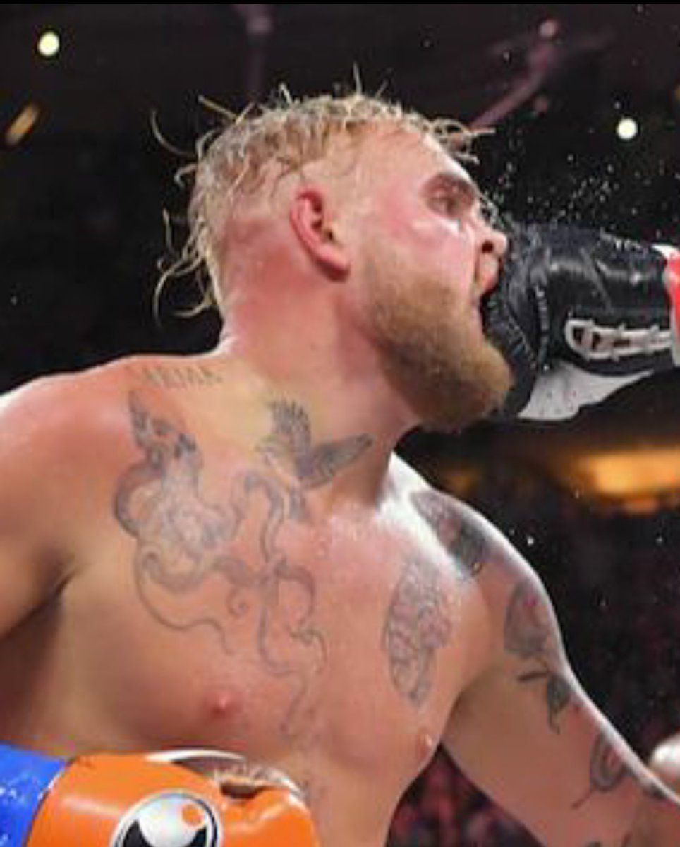tommytntfury's tweet photo. Time to do what should’ve been done to you a long time ago….You’re getting knocked spark out. @jakepaul 

Tickets on sale November 10th 

#PaulFury one will fall. 

@ShowtimeBoxing @MostVpromotions @AmalieArena https://t.co/9miYPiWO9p