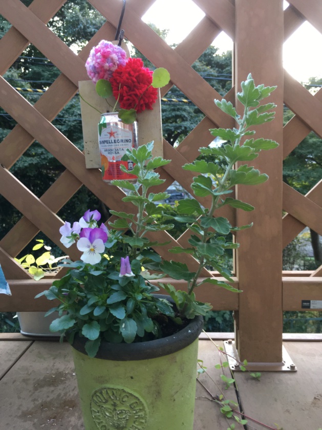 ccr_ribbons's tweet photo. ポンポン作ってみた、
お手軽、かわいい♪
#gardening #お庭
#ガーデニング #庭仕事
#のんびり #ぼちぼち
#lowcost #lowmaintainance
#fall #秋だね #ポンポン
#woolballs #handmade
#現実逃避 #escape https://t.co/nkPTLswXhK