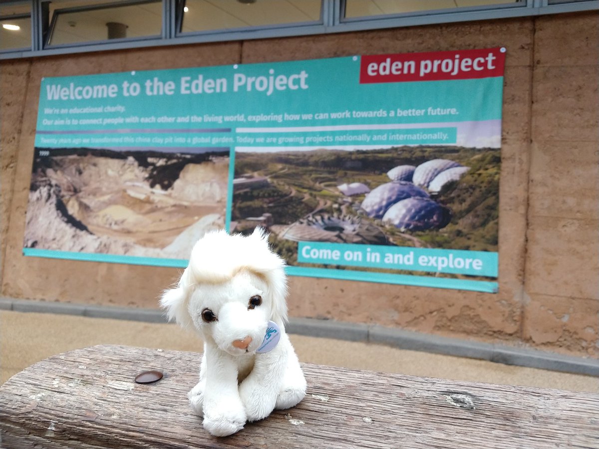 spaceytracey78's tweet photo. @BChampCollege science Lion had fun over half term visiting @edenproject learning lots about different flora and fauna #STEM. https://t.co/qcjOXBM8nC