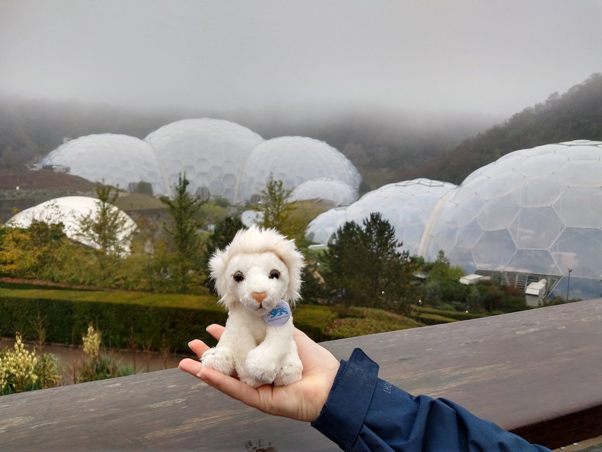 spaceytracey78's tweet photo. @BChampCollege science Lion had fun over half term visiting @edenproject learning lots about different flora and fauna #STEM. https://t.co/qcjOXBM8nC