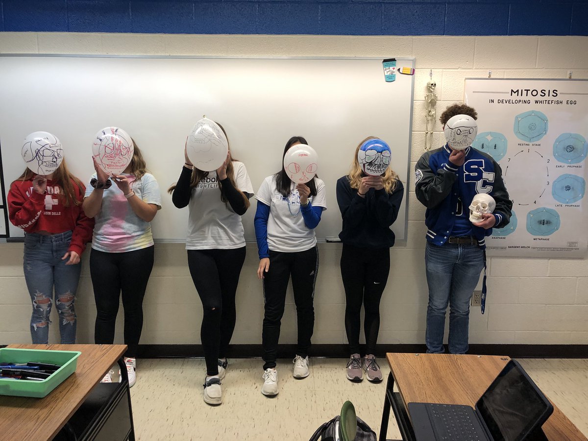 MissWallaceBio's tweet photo. Pre Halloween or studying the bones of the skull? 💀 https://t.co/tbzLdg8bb3