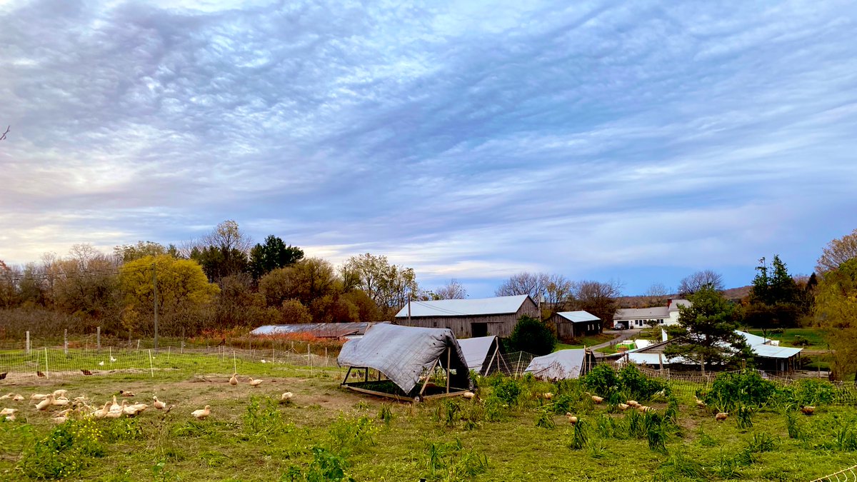As I said to @susan_l_forbes today… nothing down-regulates the nervous system like hanging out with a BIG dog. Happy #Friday!
