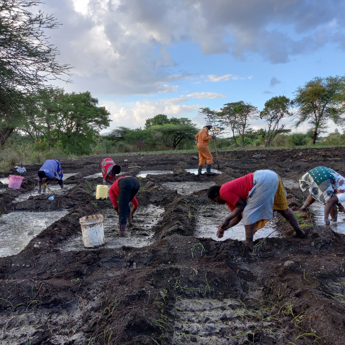 The ultimate goal of farming is not the growing of crops, but the cultivation and perfection of human beings# wegrowtogetherwithnooneleftbehind