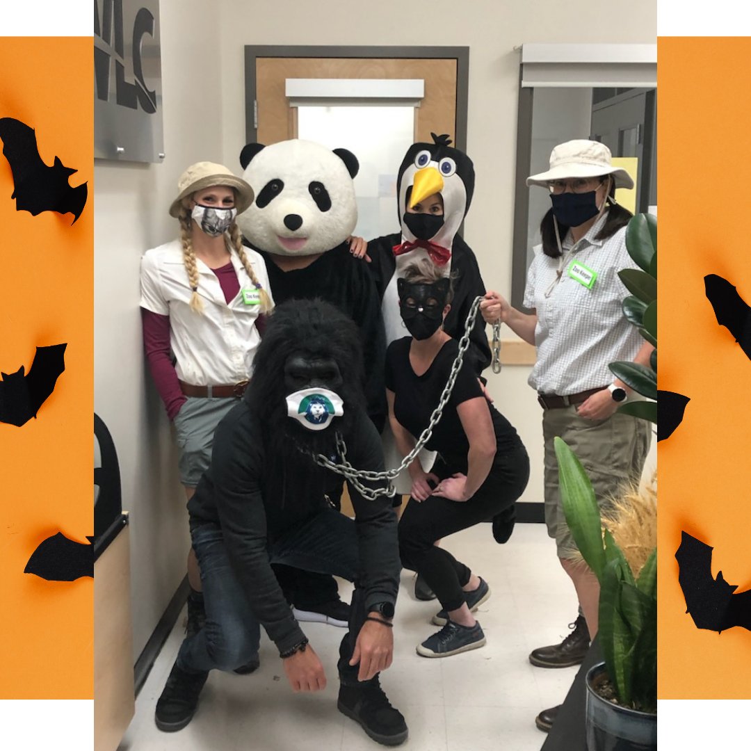 It was a Real ZOO in the office today!!

#drrwlc