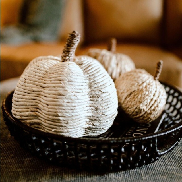 We've been so busy with our Jeffery Court kitchen renovation at the new Airbnb that I have all but skipped getting out any Fall decor. The Fall colors here in Michigan are spectacular this week so I pulled out a few pumpkins to put me in the spirit! … instagr.am/p/CVoHk8rrmkM/