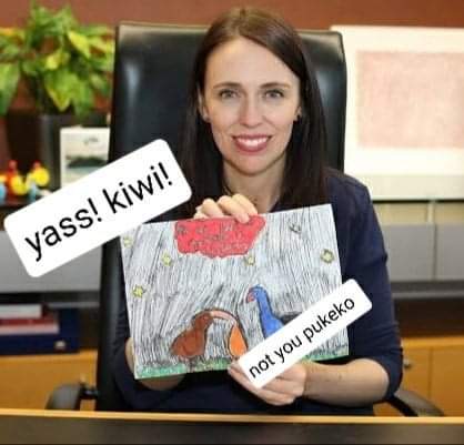 kiwi_vote's tweet photo. It was super cool of @jacindaardern to draw this kiwi artwork for us! 
Voting closes on Sunday https://t.co/C6uvrAa4P7 #birdoftheyear #boty2021 #birdsoftwitter #nzpol #NewZealand https://t.co/92MproKwFq