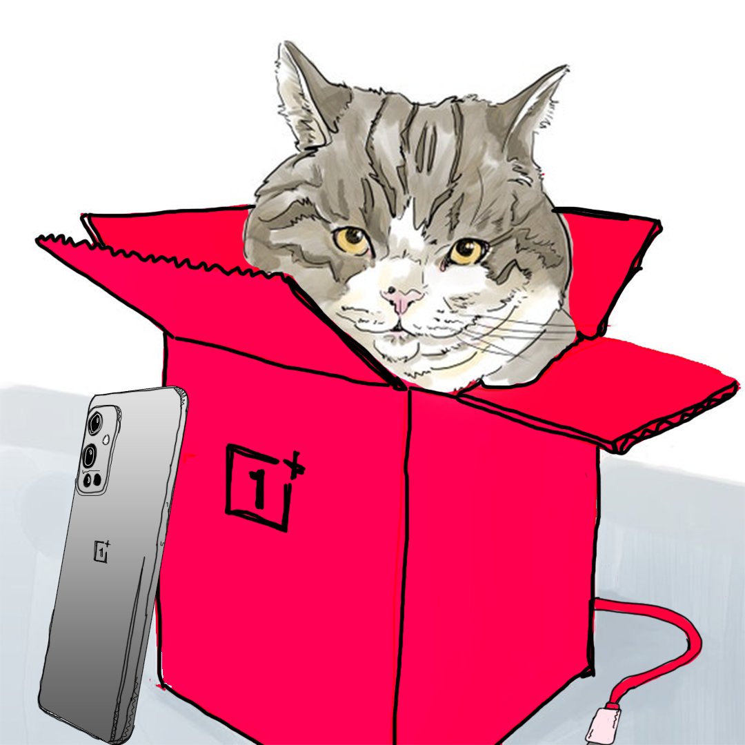 #InternetDay + #NationalCatDay + #OnePlus = Maru, Master of 'Un-Boxing'