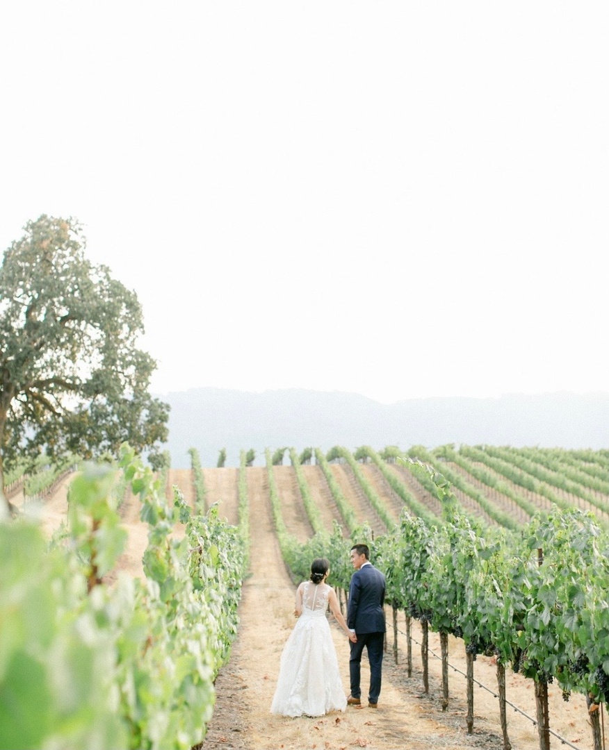 B.R. Cohn Winery tweet media