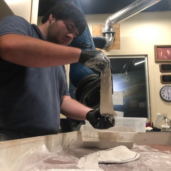 TheMarineMuseum's tweet photo. This little dolphin skull is ready for the first half of its archival jacket! An archival jacket is a plaster cast made to store and protect the fossil - each one unique to match the fossil they protect!
#fossils #dolphin #preservation #miocene #calvertcliffs https://t.co/f5XDAs8uFa