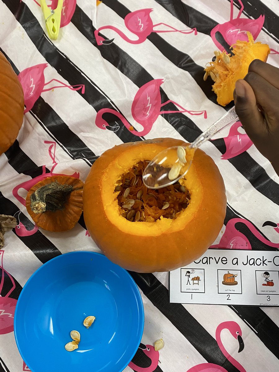 boxwoodcc's tweet photo. Lots of fine motor practice happening today! Our kiddos had a lot of fun practicing how to scoop up seeds from their pumpkins using a spoon #lifeskills #finemotor #functionalcurriculum @YRDSB @YRDSB_SS @AutismONT @ONTSpecialNeeds https://t.co/VkrLWuAgwG