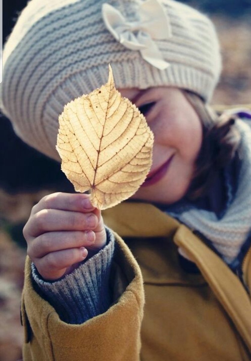 En iyi öğretmen zamandır, soru sormanıza gerek yok, her zaman size en iyi cevapları verir... 
Sabredin!!

#EğitimSistemiÇöküyor
#SıçarımMaskene