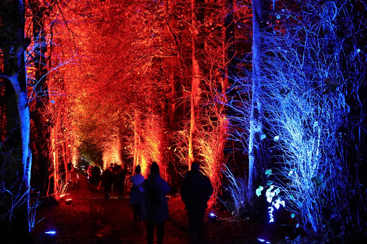 MrGGaw's tweet photo. I had a lovely visit to @wondrouswoods_ at @HopetounHouse on Friday evening to see #Woodyfest. Lots of amazing lights and sounds to see and enjoy. Thoroughly recommend! #WondrousWoods #lightingtrail #woodlandtrail #HopetounHouse 🦉🔦📷🌲

More photos: https://t.co/BkcmxvjFPp https://t.co/4GD4u6Pd1y