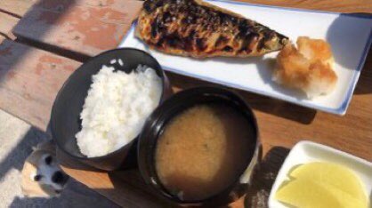 MELTONE🐕🐈❤️🚶🏻‍♀️ tweet media