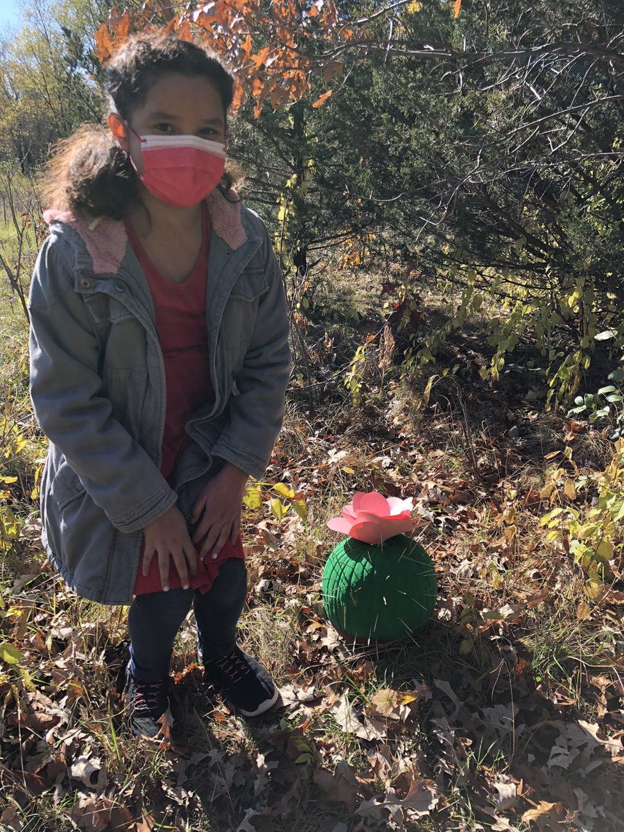 MsEnglemanEDU's tweet photo. Ss in 3LE went on a Pumpkin Walk with our Kindergarten Buddies in KCS out on our Nature Trail today! We saw all the 🎃 each class made. Ours was of course a 🌵! What a beautiful fall day! 🍁 🍂 #RamseyEaglePride #AHSchools #3rdgraderocks https://t.co/mefGZV6q8M