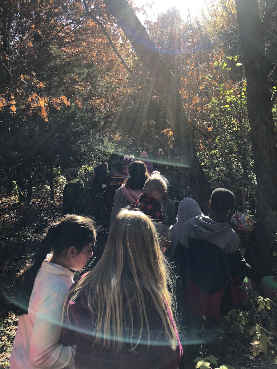 MsEnglemanEDU's tweet photo. Ss in 3LE went on a Pumpkin Walk with our Kindergarten Buddies in KCS out on our Nature Trail today! We saw all the 🎃 each class made. Ours was of course a 🌵! What a beautiful fall day! 🍁 🍂 #RamseyEaglePride #AHSchools #3rdgraderocks https://t.co/mefGZV6q8M