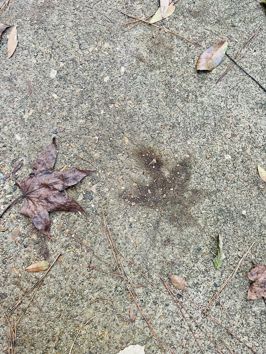 piagirl2000's tweet image. We all leave our stamp on the world. Make sure your message is positive. Practice mindfulness 💫💕