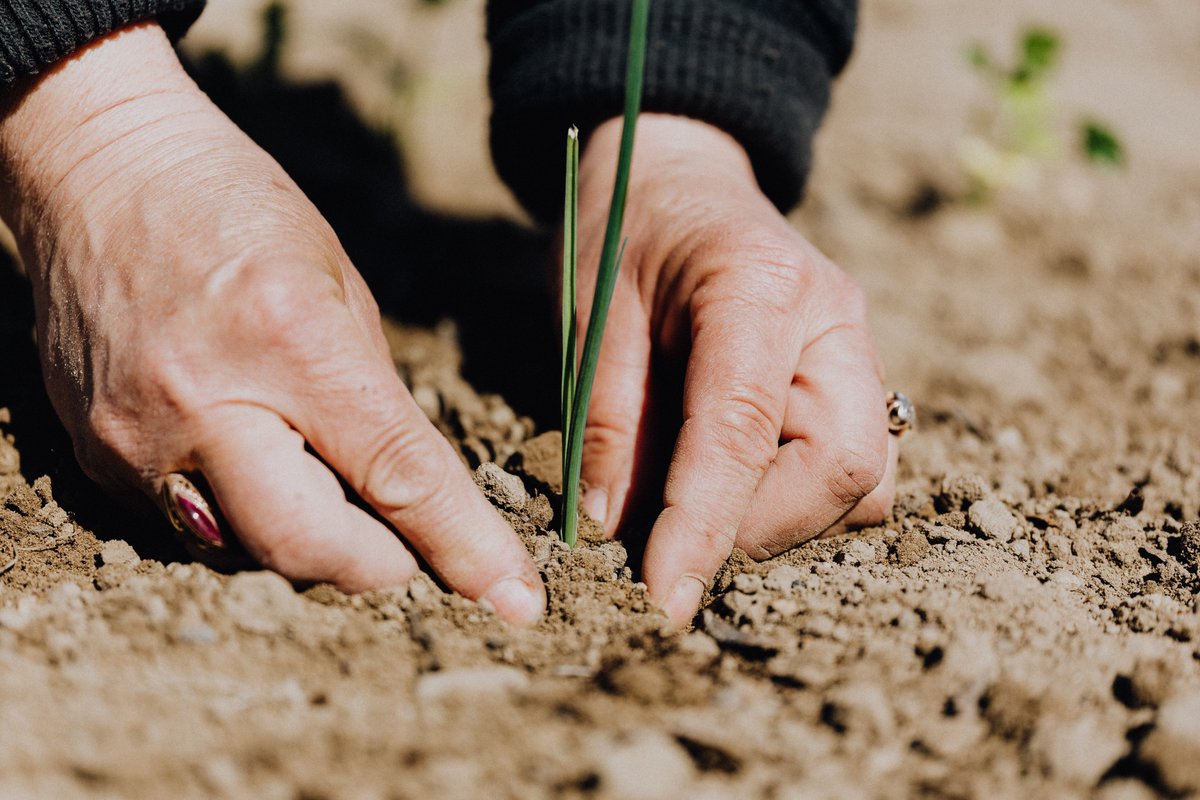 fia_foroagro's tweet photo. ¿Conoces los retos y oportunidades de la Economía Circular?

En este modelo buscamos la reutilización para una mejor calidad de vida. #EconomiaCircular #FIAMexico2022 https://t.co/U4eDJ9HKQZ