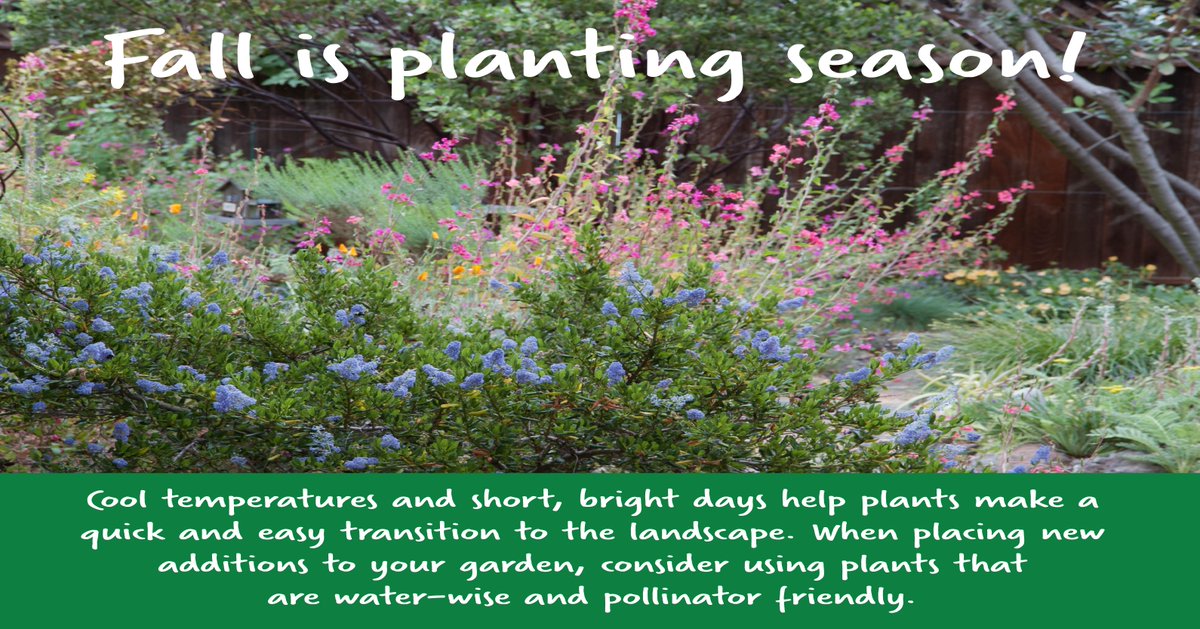 Whether you are a master gardener or have little patience for lawncare, you can make your yard more attractive and functional while also saving water this fall. Check out WaterWiseWoodland.Weebly.com for inspiration and recommended plants that do great in Woodland.