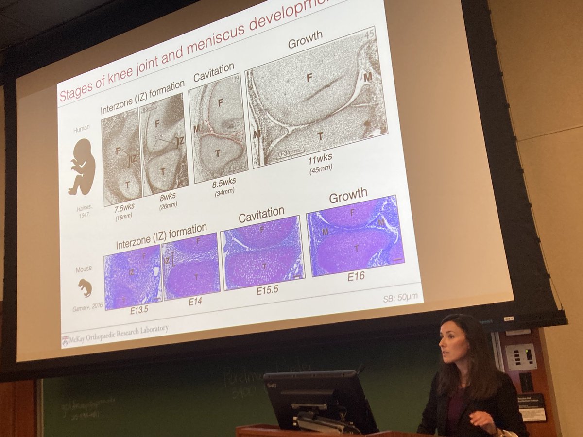 Robert Mauck tweet media