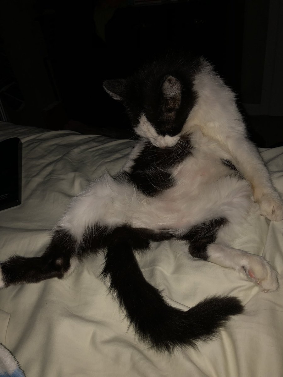 Kim Hewitt tweet media