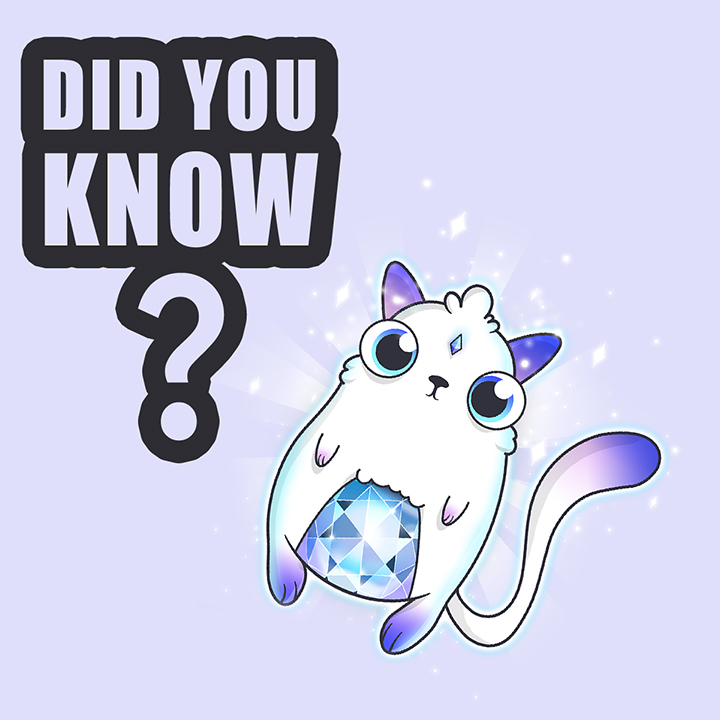 NFTHatchery's tweet photo. Did you know that CryptoKitties were the first mainstream NFT, starting in October 2017? They were used in their game, where players could adopt, raise and trade cats. Even more interestingly, the game clogged the Ethereum blockchain. #nft #nfts #crypto #cryptokitties #eth #btc https://t.co/R4y5lNb9Zx