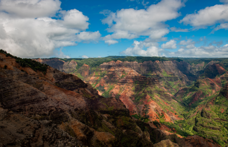 hawaiiverse's tweet photo. 🏞 Waimea Canyon, nicknamed the Grand Canyon of the Pacific, is breathtaking.
#waimeacanyon #kauai #kauaihawaii #hawaiiverse #explorehawaii #hawaiilife #hawaii #island #paradise #instahawaii #hilife808 #hawaiinewsnow https://t.co/QcWCPmtlMG